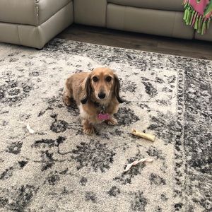 Meet your Posher, Melissa